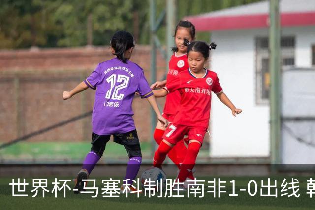 世界杯-马塞科制胜南非1-0出线 韩国积3分获小组第三待定