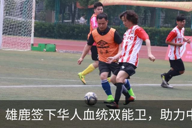 雄鹿签下华人血统双能卫，助力中国男篮归化新目标，疑似孙氏后裔